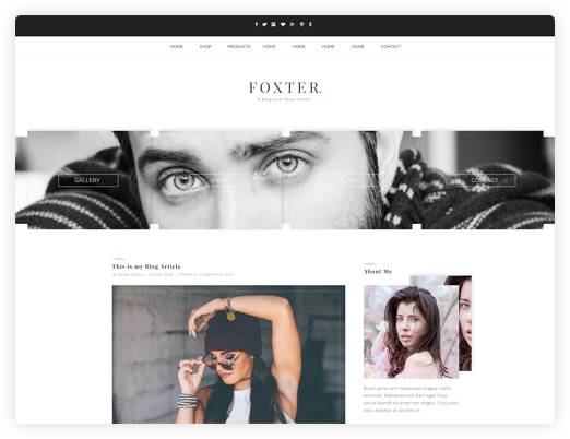 Foxter Wordpress theme